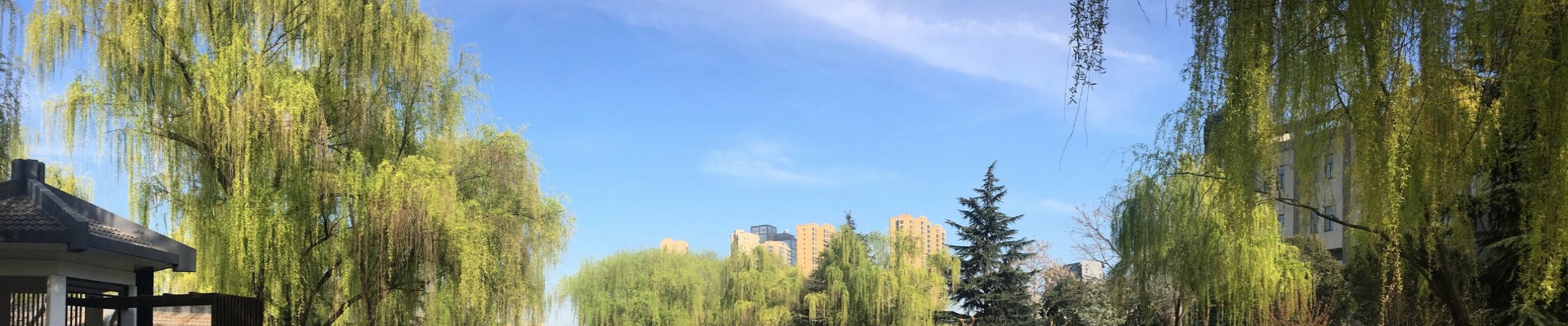 开云手机登录入口